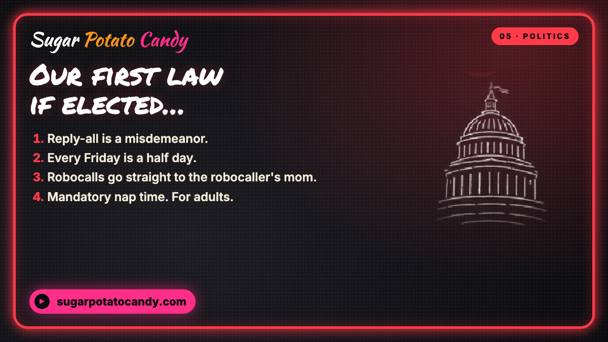 If We Ran for Office, Our First Law Would Be…
