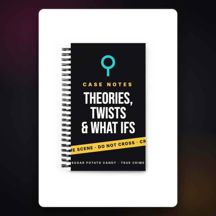 Theories, Twists & What Ifs Case Notebook — sample design mockup